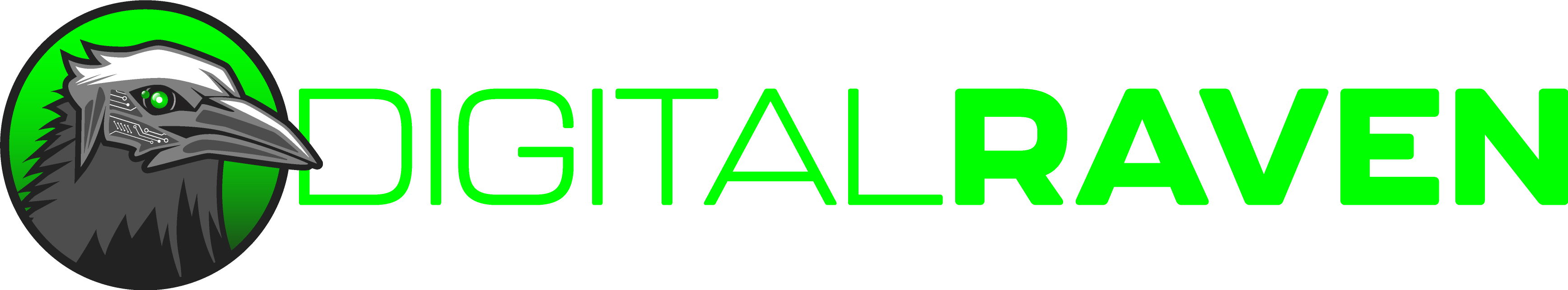 digital raven logo 7