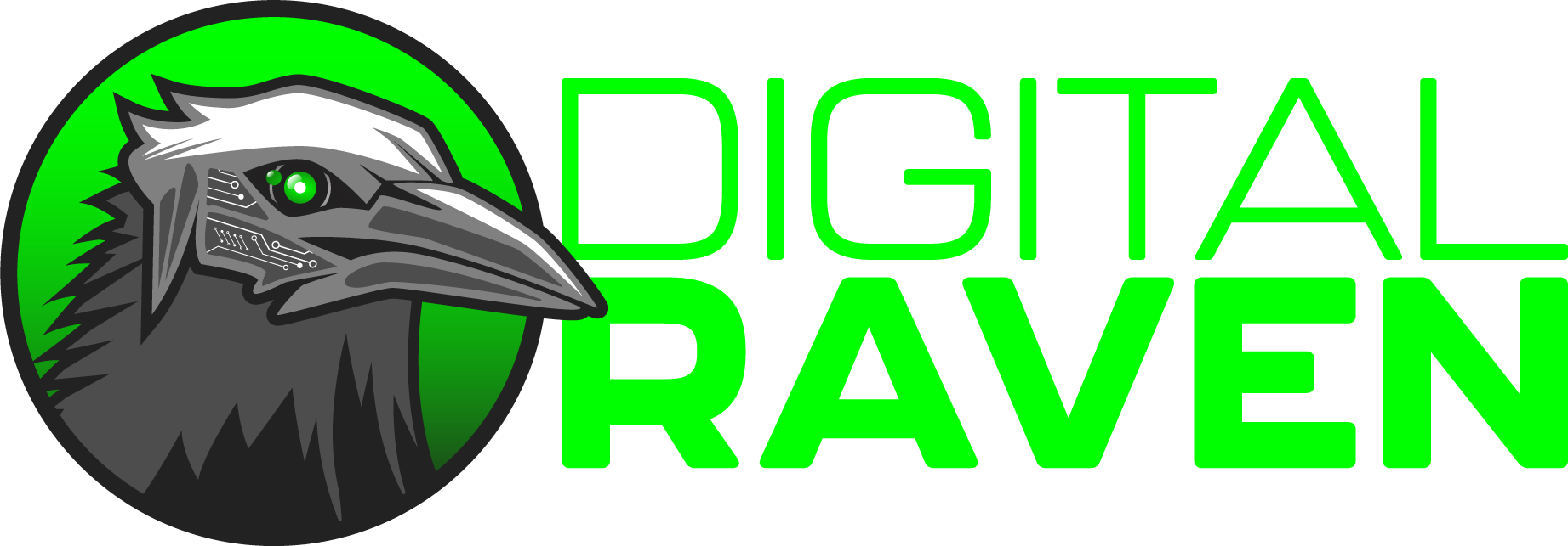 Digital Raven | Web Design and Graphic Design in Lake Elsinore